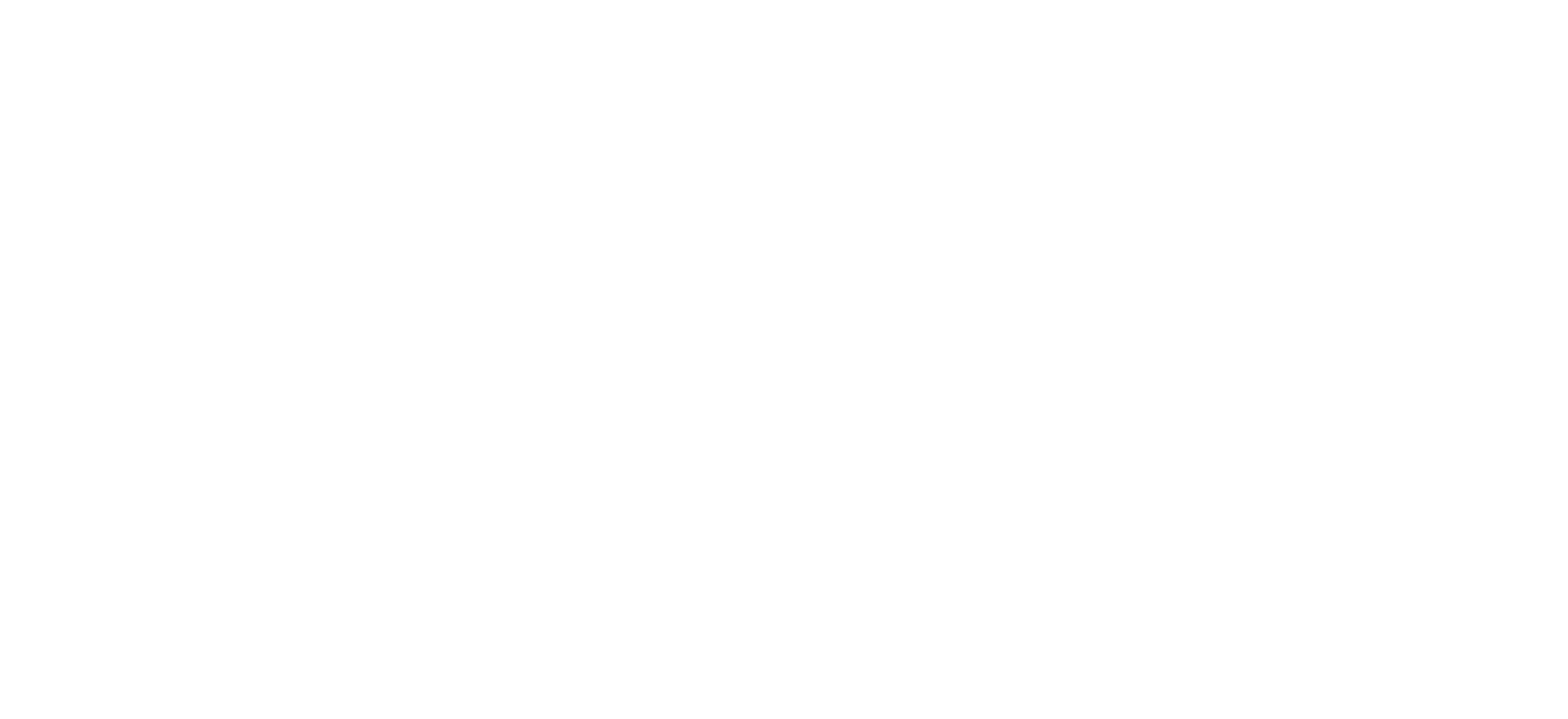 CMS Business Solutions